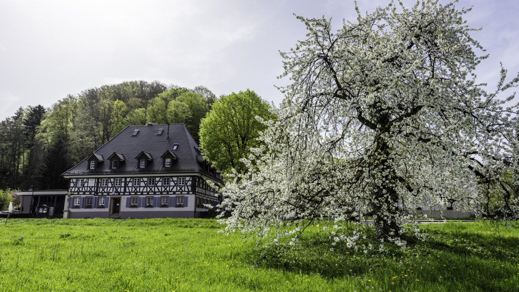 Zum Kreuz, Landgasthof, Hotel — Glottertal